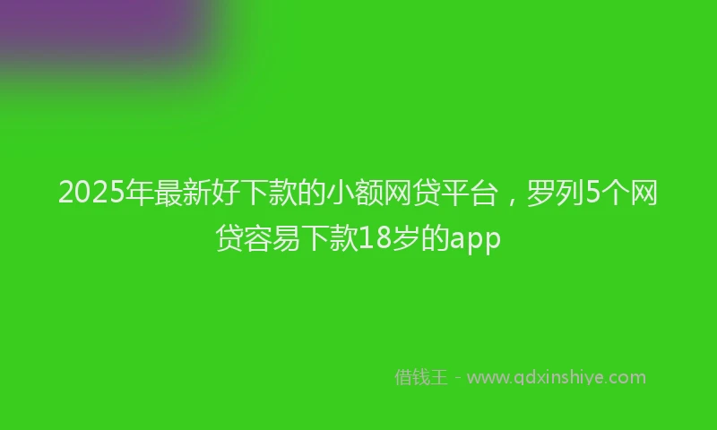 2025年最新好下款的小额网贷平台，罗列5个网贷容易下款18岁的app
