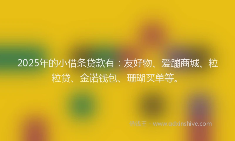 2025年的小借条贷款有：友好物、爱蹦商城、粒粒贷、金诺钱包、珊瑚买单等。