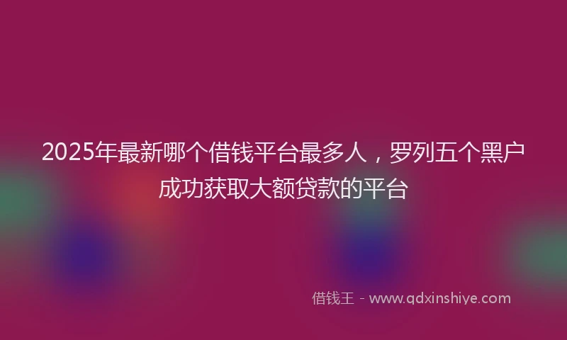 2025年最新哪个借钱平台最多人，罗列五个黑户成功获取大额贷款的平台