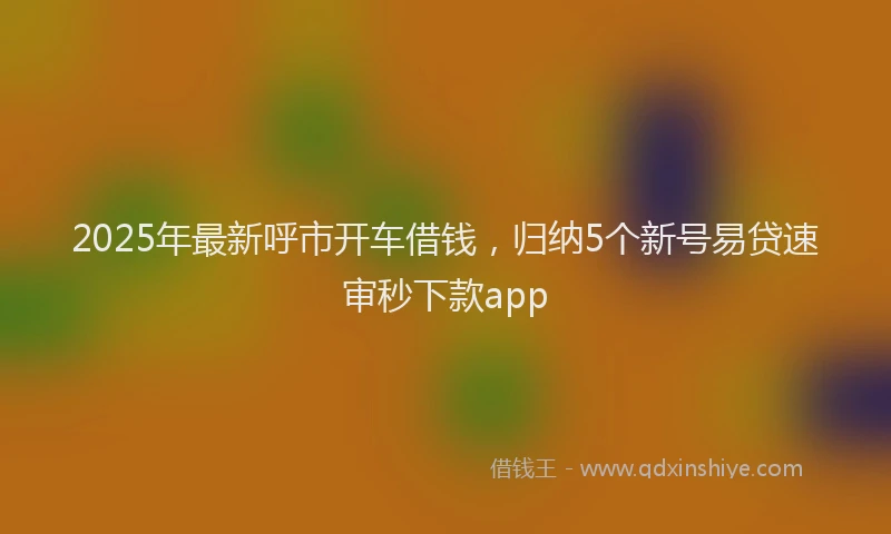 2025年最新呼市开车借钱，归纳5个新号易贷速审秒下款app