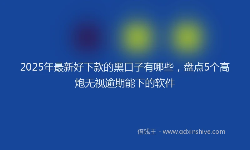 2025年最新好下款的黑口子有哪些，盘点5个高炮无视逾期能下的软件