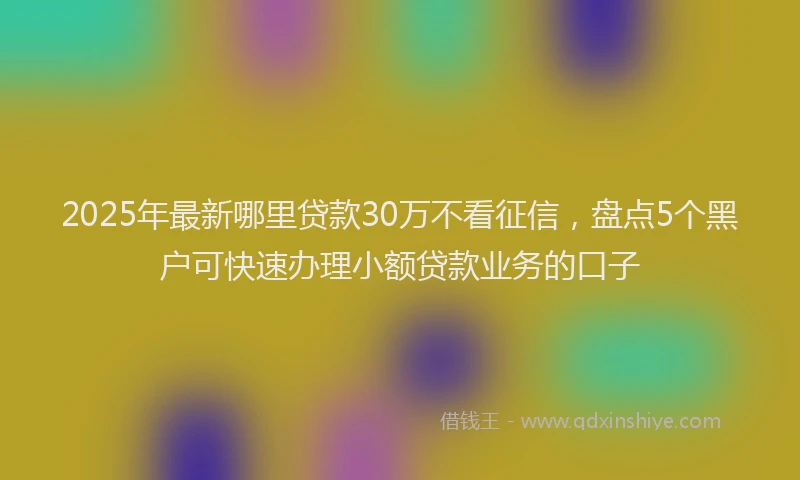 2025年最新哪里贷款30万不看征信，盘点5个黑户可快速办理小额贷款业务的口子