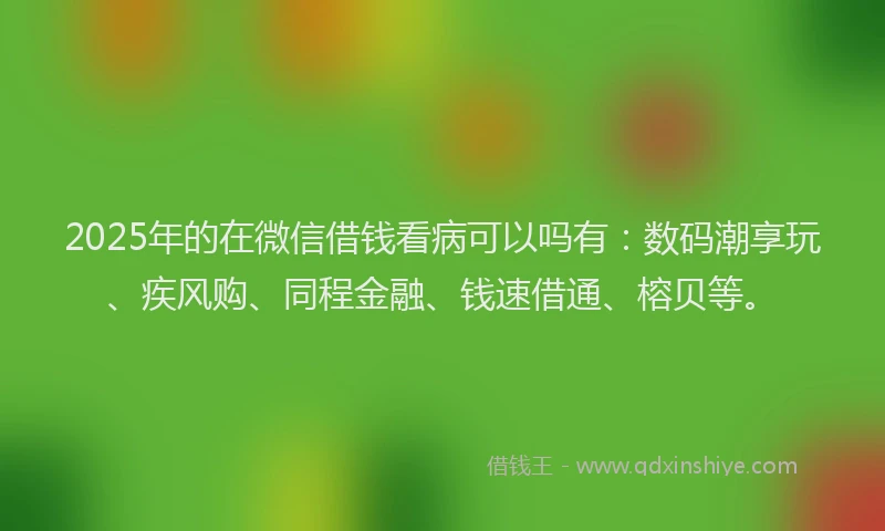 2025年的在微信借钱看病可以吗有：数码潮享玩、疾风购、同程金融、钱速借通、榕贝等。