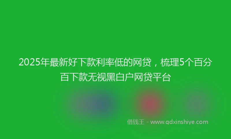 2025年最新好下款利率低的网贷，梳理5个百分百下款无视黑白户网贷平台