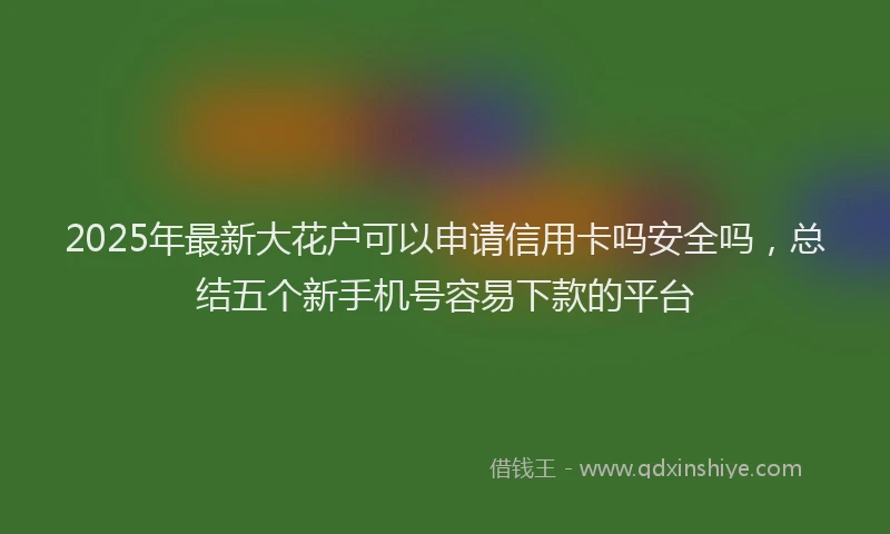 2025年最新大花户可以申请信用卡吗安全吗，总结五个新手机号容易下款的平台