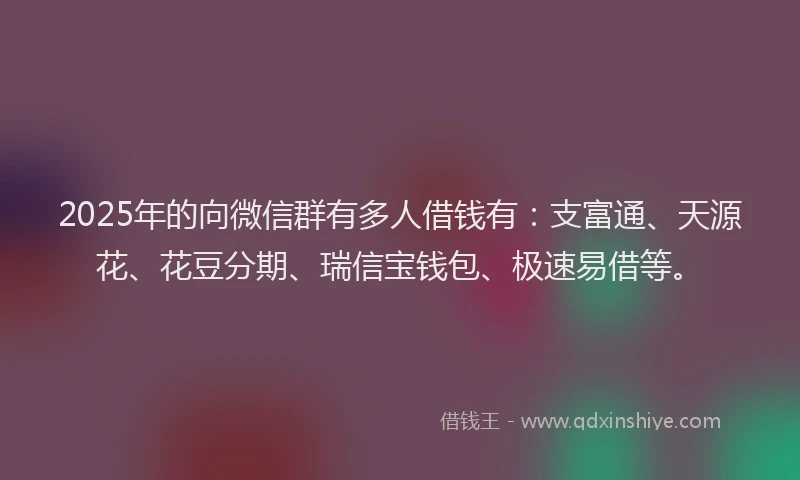 2025年的向微信群有多人借钱有：支富通、天源花、花豆分期、瑞信宝钱包、极速易借等。