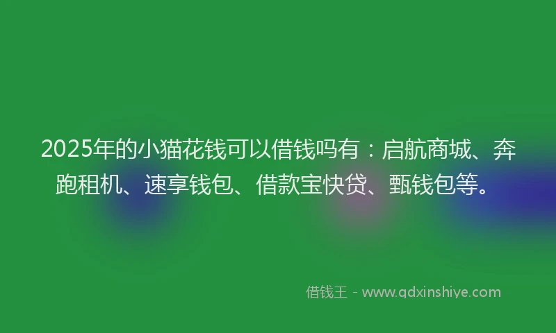 2025年的小猫花钱可以借钱吗有：启航商城、奔跑租机、速享钱包、借款宝快贷、甄钱包等。