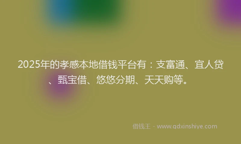 2025年的孝感本地借钱平台有：支富通、宜人贷、甄宝借、悠悠分期、天天购等。