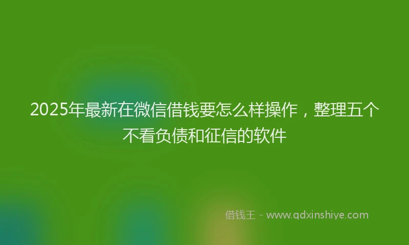 2025年最新在微信借钱要怎么样操作，整理五个不看负债和征信的软件