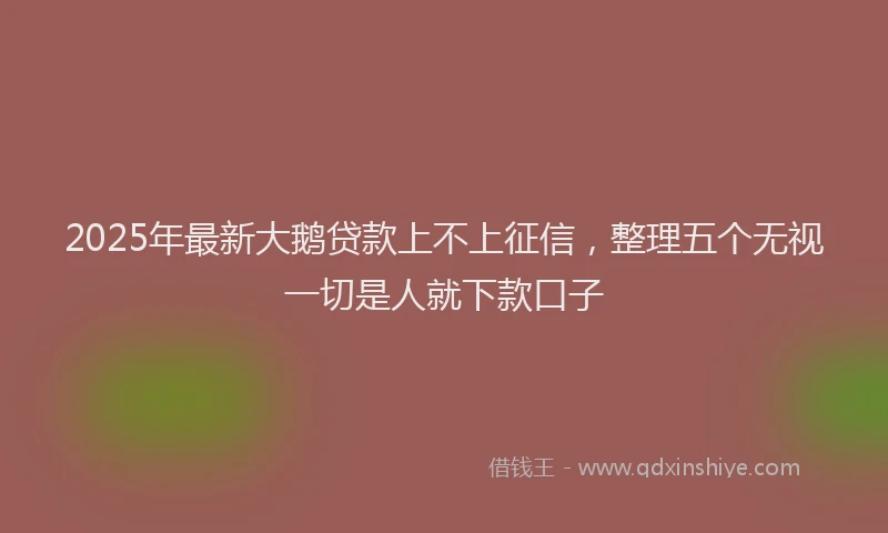 2025年最新大鹅贷款上不上征信，整理五个无视一切是人就下款口子