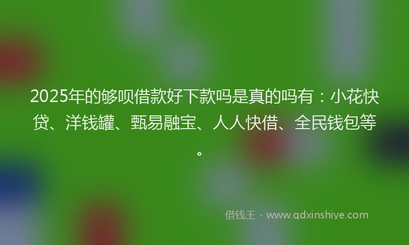 2025年的够呗借款好下款吗是真的吗有：小花快贷、洋钱罐、甄易融宝、人人快借、全民钱包等。