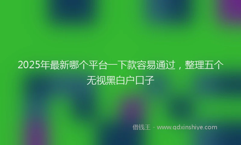 2025年最新哪个平台一下款容易通过，整理五个无视黑白户口子
