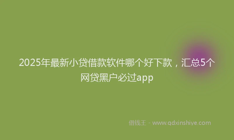 2025年最新小贷借款软件哪个好下款，汇总5个网贷黑户必过app