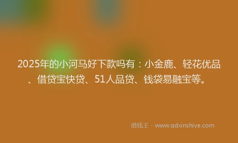 2025年的小河马好下款吗有：小金鹿、轻花优品、借贷宝快贷、51人品贷、钱袋易融宝等。