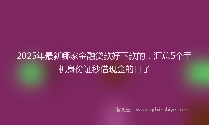 2025年最新哪家金融贷款好下款的，汇总5个手机身份证秒借现金的口子