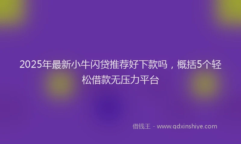 2025年最新小牛闪贷推荐好下款吗，概括5个轻松借款无压力平台