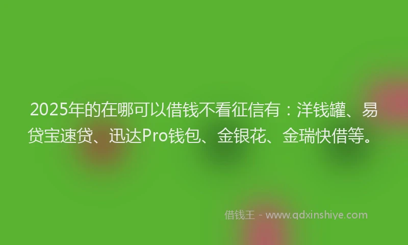2025年的在哪可以借钱不看征信有：洋钱罐、易贷宝速贷、迅达Pro钱包、金银花、金瑞快借等。