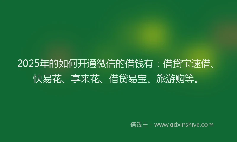 2025年的如何开通微信的借钱有：借贷宝速借、快易花、享来花、借贷易宝、旅游购等。