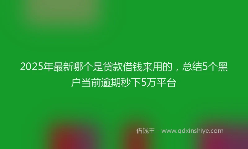 2025年最新哪个是贷款借钱来用的，总结5个黑户当前逾期秒下5万平台