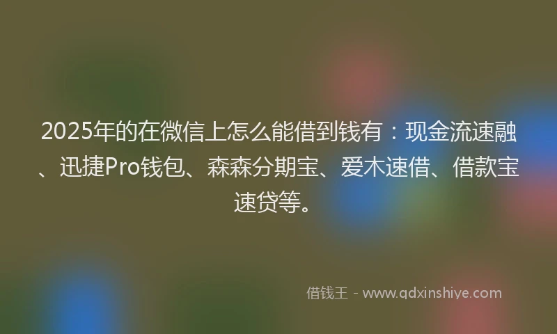 2025年的在微信上怎么能借到钱有：现金流速融、迅捷Pro钱包、森森分期宝、爱木速借、借款宝速贷等。