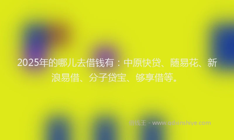 2025年的哪儿去借钱有：中原快贷、随易花、新浪易借、分子贷宝、够享借等。