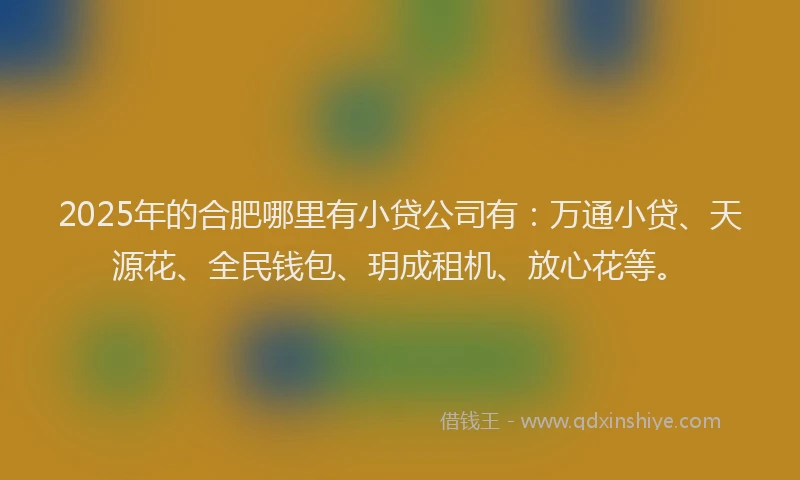 2025年的合肥哪里有小贷公司有：万通小贷、天源花、全民钱包、玥成租机、放心花等。