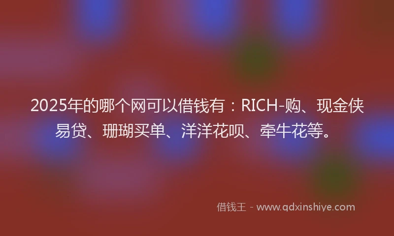 2025年的哪个网可以借钱有：RICH-购、现金侠易贷、珊瑚买单、洋洋花呗、牵牛花等。