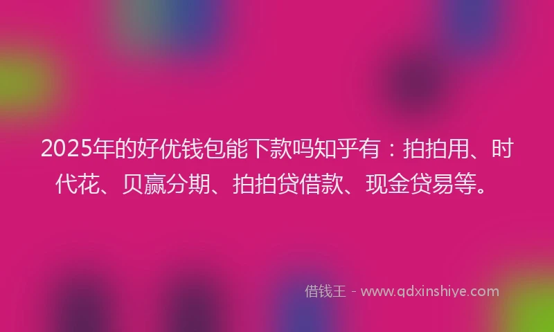 2025年的好优钱包能下款吗知乎有：拍拍用、时代花、贝赢分期、拍拍贷借款、现金贷易等。