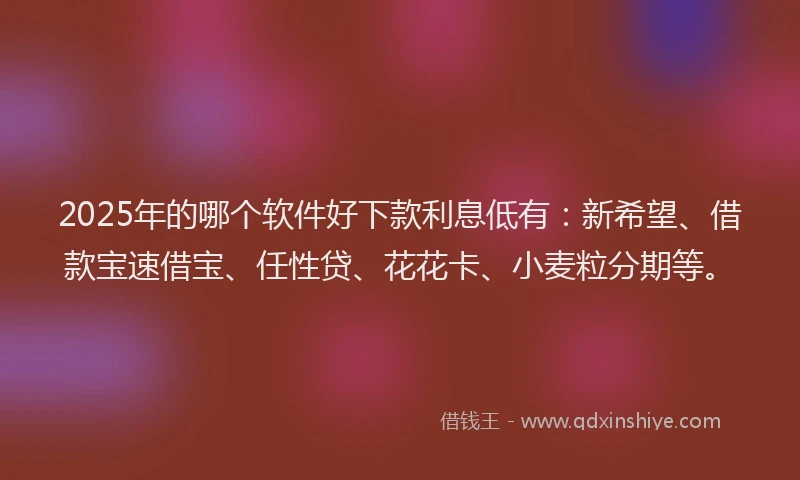 2025年的哪个软件好下款利息低有：新希望、借款宝速借宝、任性贷、花花卡、小麦粒分期等。
