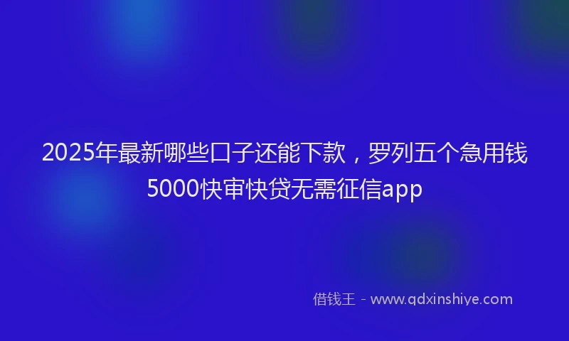 2025年最新哪些口子还能下款，罗列五个急用钱5000快审快贷无需征信app