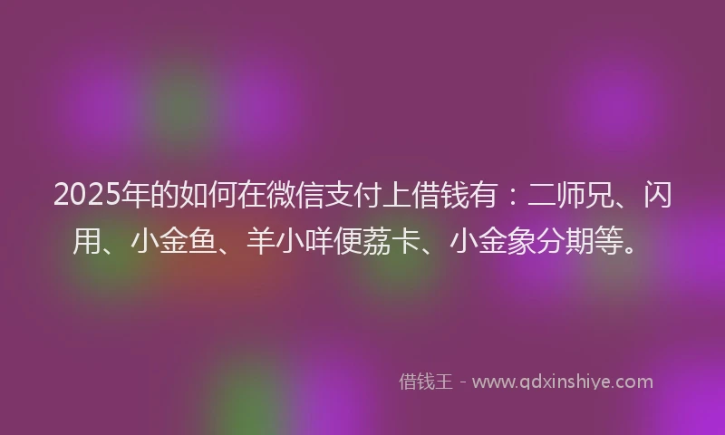 2025年的如何在微信支付上借钱有：二师兄、闪用、小金鱼、羊小咩便荔卡、小金象分期等。