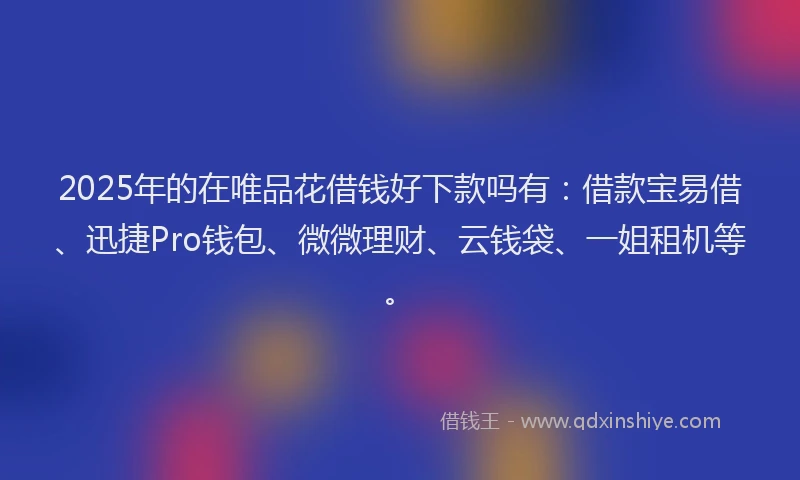 2025年的在唯品花借钱好下款吗有：借款宝易借、迅捷Pro钱包、微微理财、云钱袋、一姐租机等。