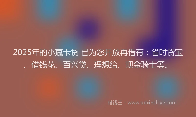 2025年的小赢卡贷 已为您开放再借有：省时贷宝、借钱花、百兴贷、理想给、现金骑士等。