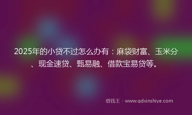 2025年的小贷不过怎么办有：麻袋财富、玉米分、现金速贷、甄易融、借款宝易贷等。