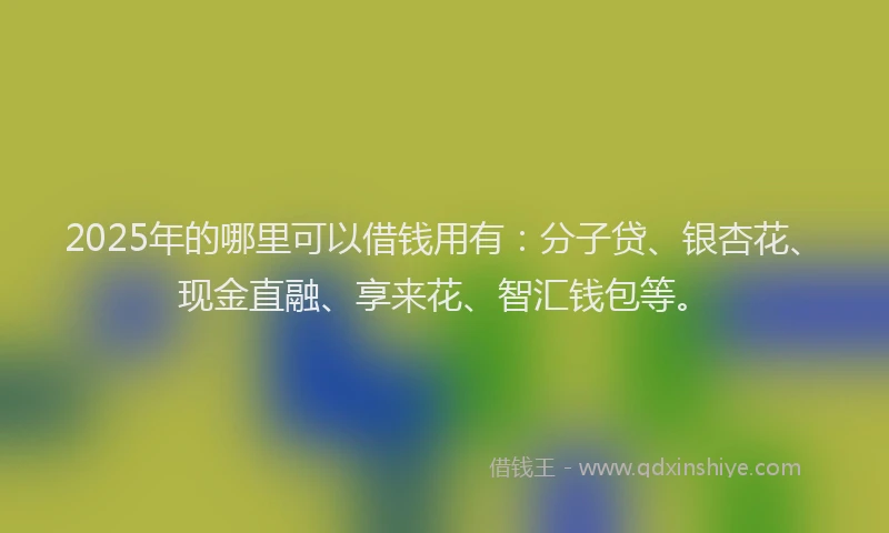 2025年的哪里可以借钱用有：分子贷、银杏花、现金直融、享来花、智汇钱包等。