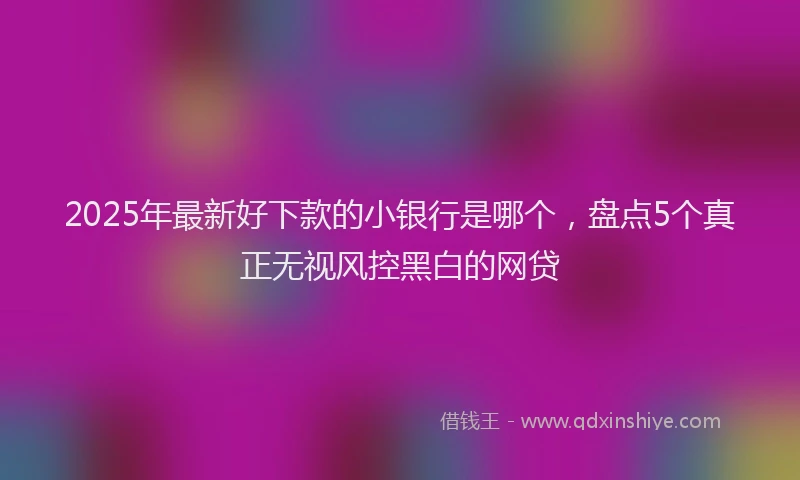 2025年最新好下款的小银行是哪个，盘点5个真正无视风控黑白的网贷