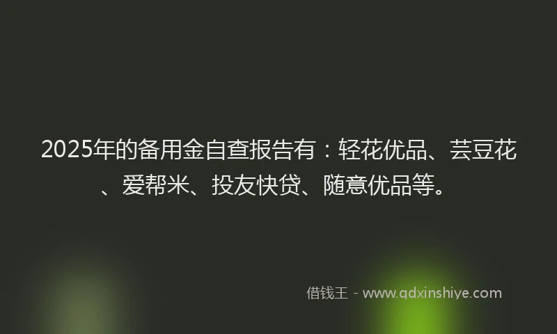 2025年的备用金自查报告有：轻花优品、芸豆花、爱帮米、投友快贷、随意优品等。