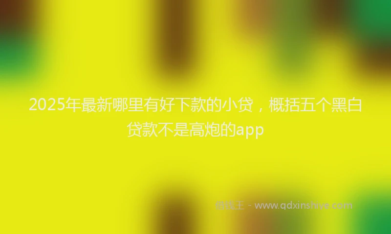 2025年最新哪里有好下款的小贷，概括五个黑白贷款不是高炮的app