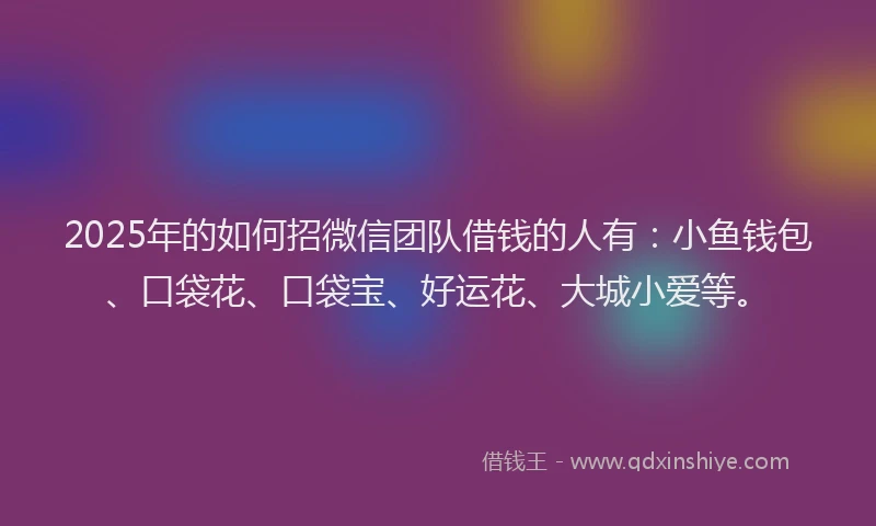 2025年的如何招微信团队借钱的人有：小鱼钱包、口袋花、口袋宝、好运花、大城小爱等。