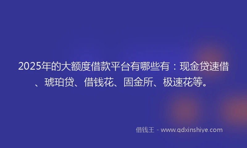 2025年的大额度借款平台有哪些有：现金贷速借、琥珀贷、借钱花、固金所、极速花等。