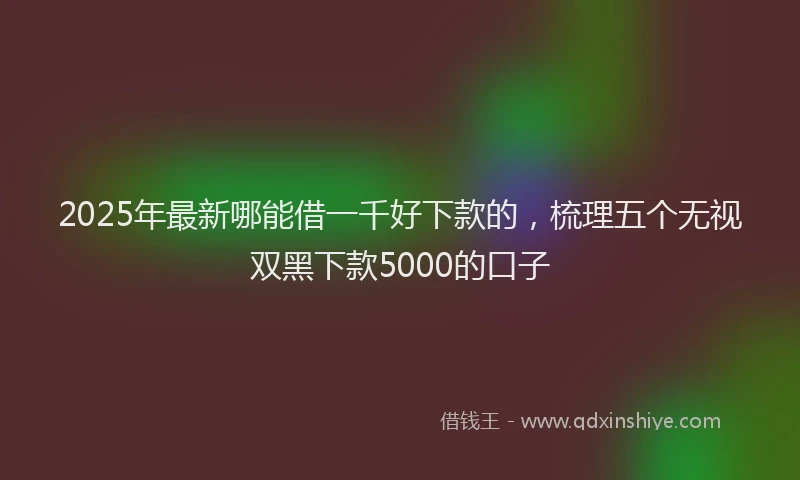 2025年最新哪能借一千好下款的，梳理五个无视双黑下款5000的口子