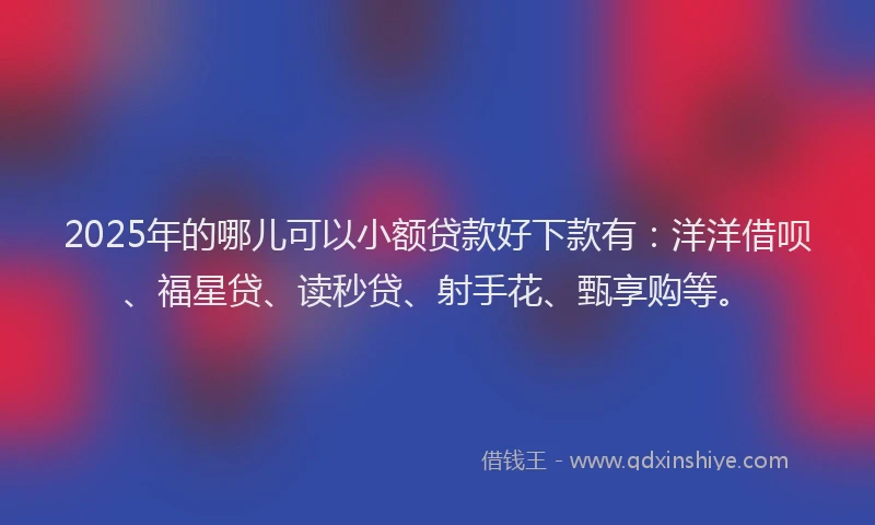2025年的哪儿可以小额贷款好下款有：洋洋借呗、福星贷、读秒贷、射手花、甄享购等。