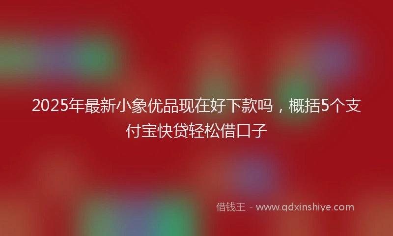 2025年最新小象优品现在好下款吗，概括5个支付宝快贷轻松借口子