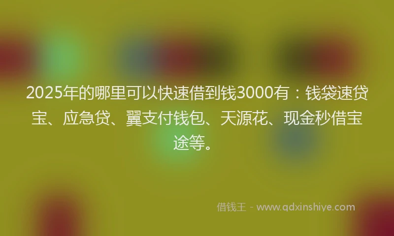 2025年的哪里可以快速借到钱3000有：钱袋速贷宝、应急贷、翼支付钱包、天源花、现金秒借宝途等。