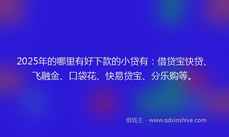 2025年的哪里有好下款的小贷有：借贷宝快贷、飞融金、口袋花、快易贷宝、分乐购等。