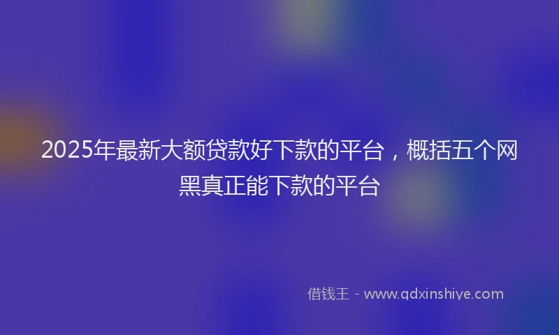 2025年最新大额贷款好下款的平台，概括五个网黑真正能下款的平台