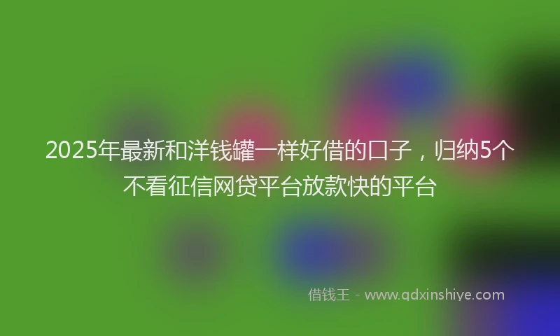 2025年最新和洋钱罐一样好借的口子，归纳5个不看征信网贷平台放款快的平台