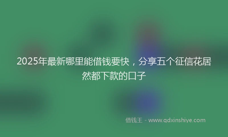 2025年最新哪里能借钱要快，分享五个征信花居然都下款的口子