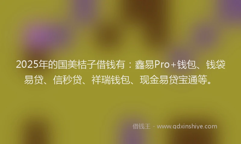 2025年的国美桔子借钱有：鑫易Pro+钱包、钱袋易贷、信秒贷、祥瑞钱包、现金易贷宝通等。
