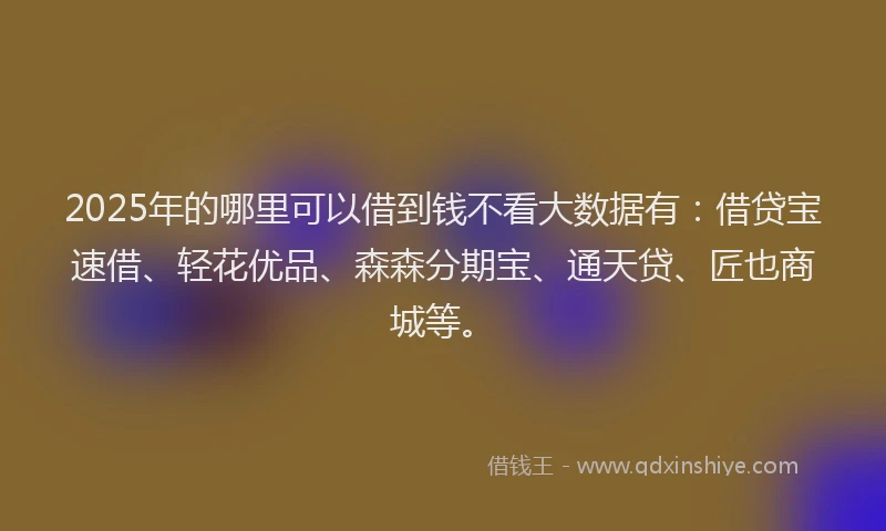 2025年的哪里可以借到钱不看大数据有：借贷宝速借、轻花优品、森森分期宝、通天贷、匠也商城等。